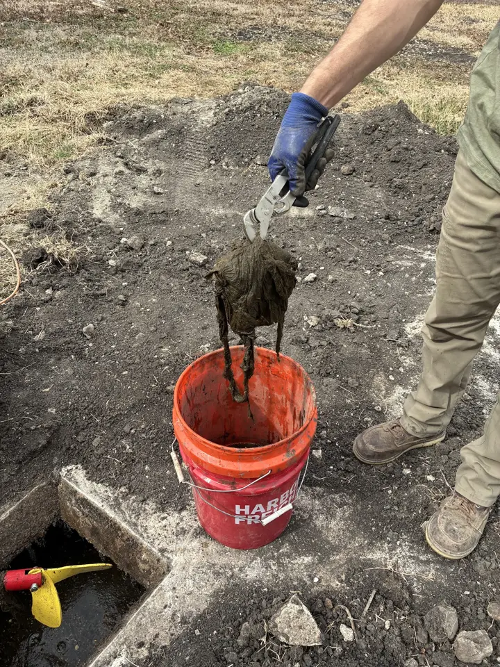 Gloved hand lifting a clogged effluent filter out of a septic tank opening over an orange bucket